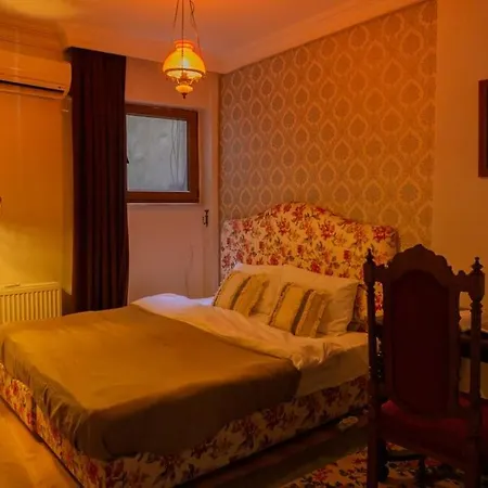 0098 - Cozy And Nostalgic Flat, Pera.